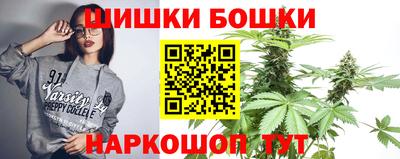 стафф Лесосибирск